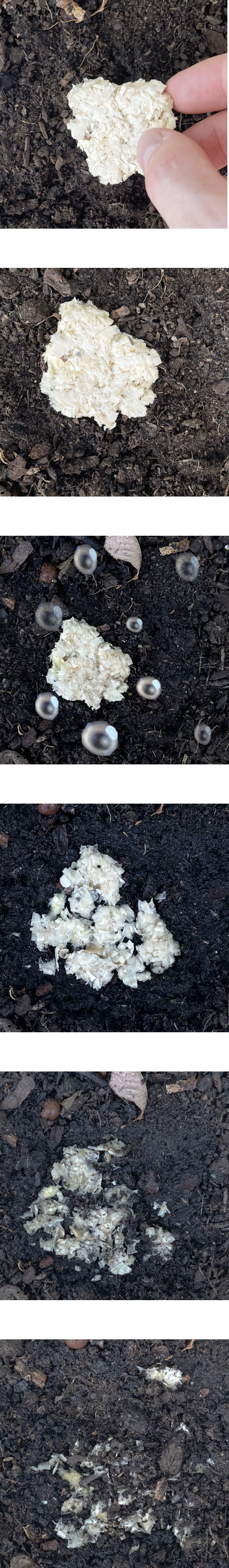 Ecopot