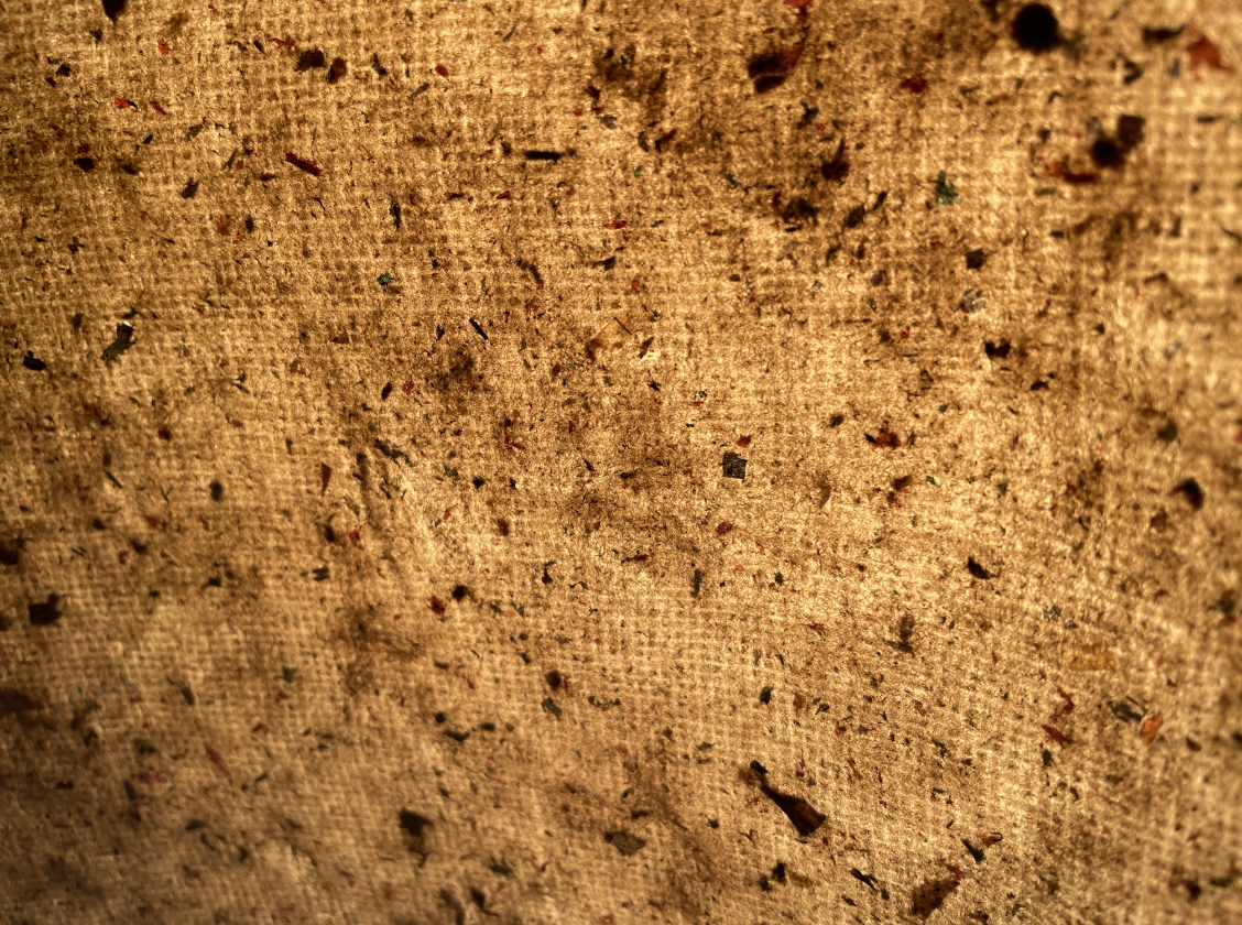 PAPER
